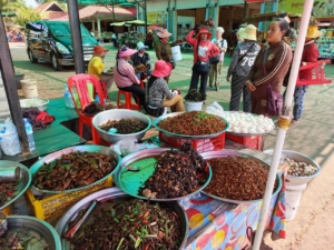 Spider Market