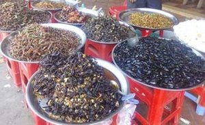 Street Food