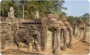 Terrace of the Elephants330