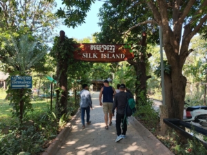 Silk Island