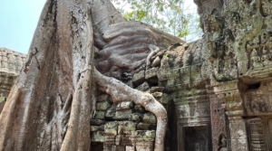 Taxi Cambodia Tom (3)