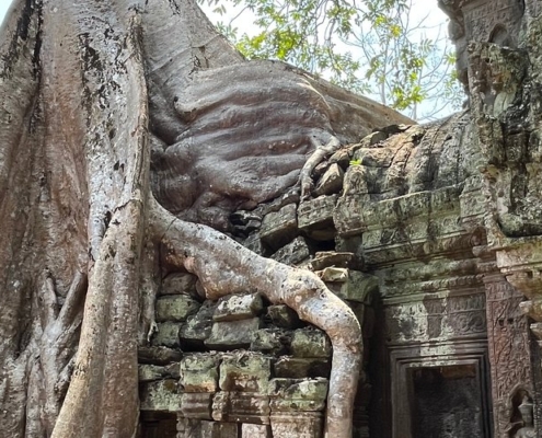 Taxi Cambodia Tom (3)