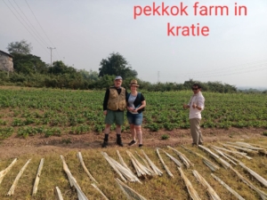pekkok farm