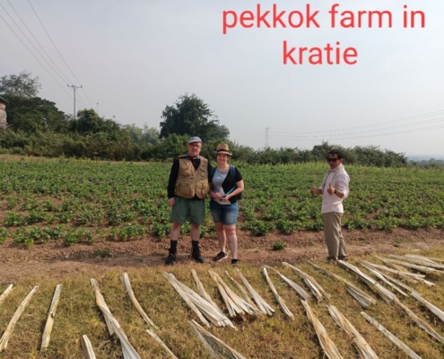 pekkok farm