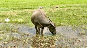 photo3jpg