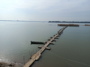 photo 2025 02 04 19 02 46