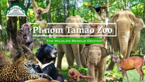 tamao zoo 1024x576