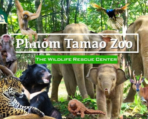 tamao zoo 1024x576