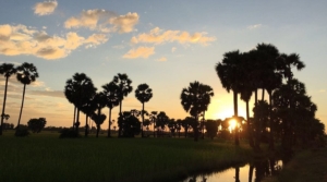 watching sunset along