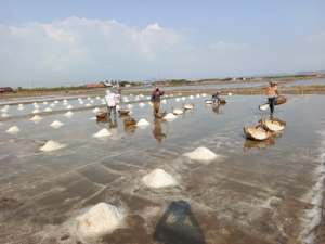 Kampot Salt Farm