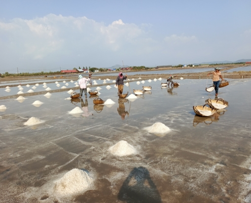 Kampot Salt Farm